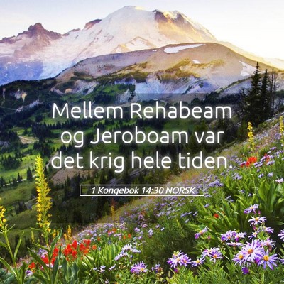 Picture 05 - 1 Kongebok 14:30 NORSK - Mellem Rehabeam og Jeroboam var det krig hele - Bible Verse Picture