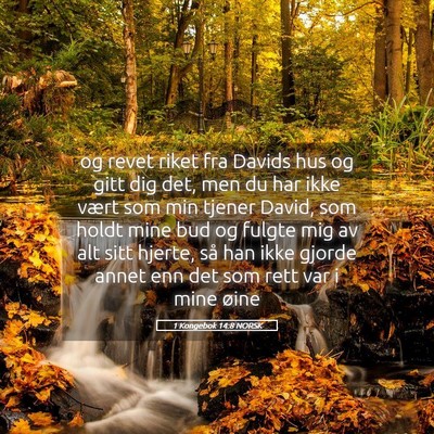 Picture 05 - 1 Kongebok 14:8 NORSK - og revet riket fra Davids hus og gitt dig det, - Bible Verse Picture