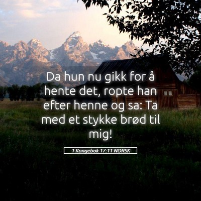 Picture 05 - 1 Kongebok 17:11 NORSK - Da hun nu gikk for å hente det, ropte han efter - Bible Verse Picture