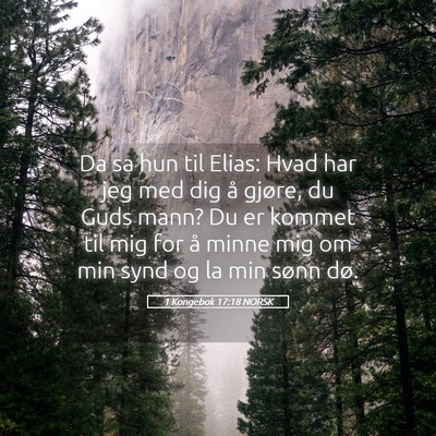 Picture 05 - 1 Kongebok 17:18 NORSK - Da sa hun til Elias: Hvad har jeg med dig å - Bible Verse Picture