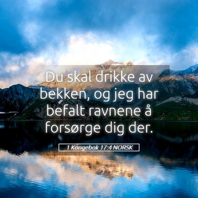 Picture 05 - 1 Kongebok 17:4 NORSK - Du skal drikke av bekken, og jeg har befalt - Bible Verse Picture