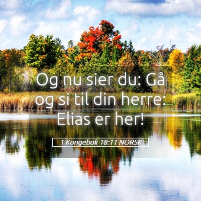 Picture 05 - 1 Kongebok 18:11 NORSK - Og nu sier du: Gå og si til din herre: Elias er - Bible Verse Picture