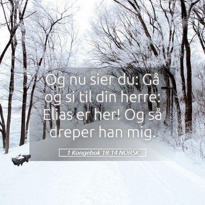 Picture 05 - 1 Kongebok 18:14 NORSK - Og nu sier du: Gå og si til din herre: Elias er - Bible Verse Picture