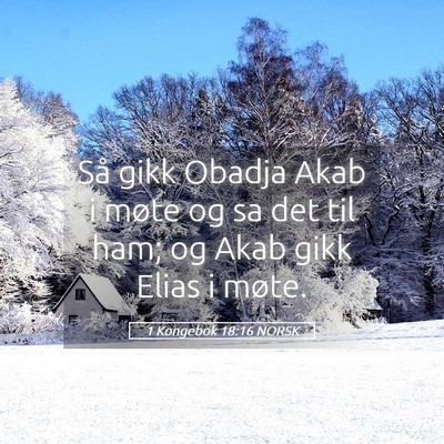 Picture 05 - 1 Kongebok 18:16 NORSK - Så gikk Obadja Akab i møte og sa det til ham; - Bible Verse Picture