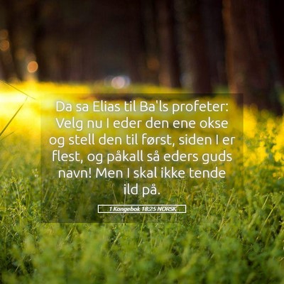 Picture 05 - 1 Kongebok 18:25 NORSK - Da sa Elias til Ba'ls profeter: Velg nu I eder - Bible Verse Picture
