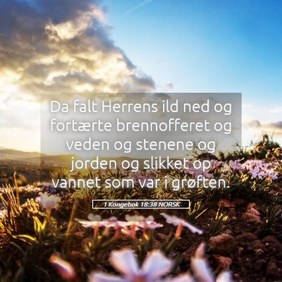 Picture 05 - 1 Kongebok 18:38 NORSK - Da falt Herrens ild ned og fortærte brennofferet - Bible Verse Picture