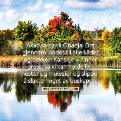 Picture 05 - 1 Kongebok 18:5 NORSK - Akab sa da til Obadja: Dra gjennem landet til - Bible Verse Picture
