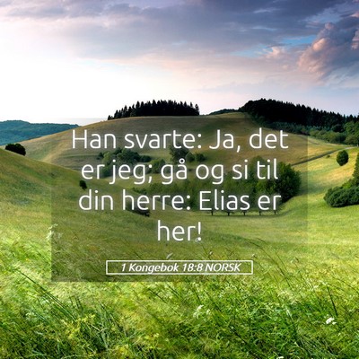 Picture 05 - 1 Kongebok 18:8 NORSK - Han svarte: Ja, det er jeg; gå og si til din - Bible Verse Picture