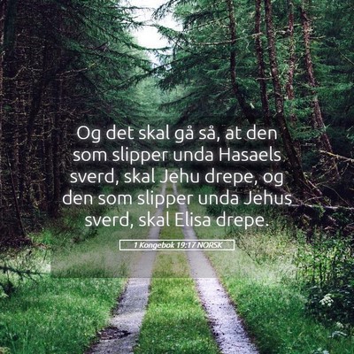 Picture 05 - 1 Kongebok 19:17 NORSK - Og det skal gå så, at den som slipper unda - Bible Verse Picture