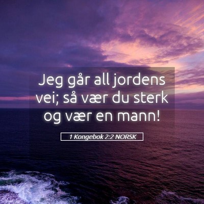 Picture 05 - 1 Kongebok 2:2 NORSK - Jeg går all jordens vei; så vær du sterk og - Bible Verse Picture