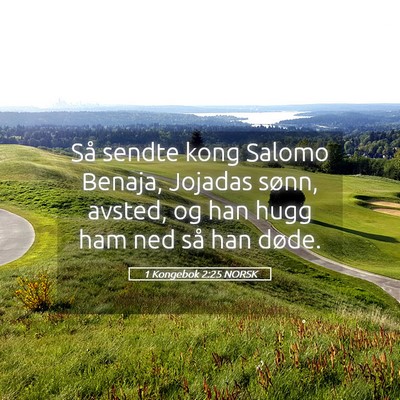 Picture 05 - 1 Kongebok 2:25 NORSK - Så sendte kong Salomo Benaja, Jojadas sønn, - Bible Verse Picture