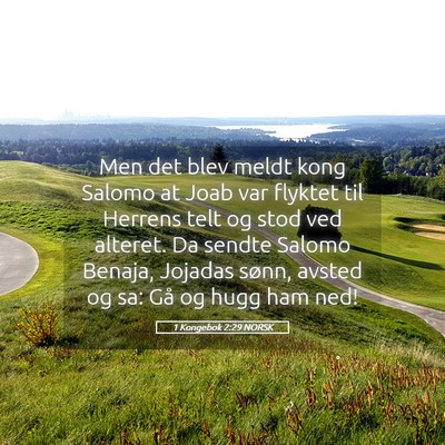 Picture 05 - 1 Kongebok 2:29 NORSK - Men det blev meldt kong Salomo at Joab var - Bible Verse Picture