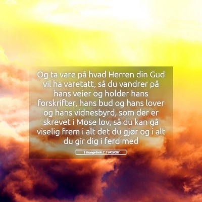 Picture 05 - 1 Kongebok 2:3 NORSK - Og ta vare på hvad Herren din Gud vil ha - Bible Verse Picture
