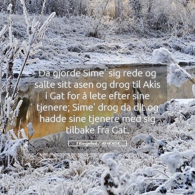 Picture 05 - 1 Kongebok 2:40 NORSK - Da gjorde Sime' sig rede og salte sitt asen og - Bible Verse Picture