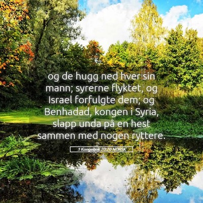 Picture 05 - 1 Kongebok 20:20 NORSK - og de hugg ned hver sin mann; syrerne flyktet, og - Bible Verse Picture