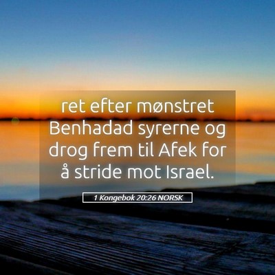 Picture 05 - 1 Kongebok 20:26 NORSK - ret efter mønstret Benhadad syrerne og drog frem - Bible Verse Picture