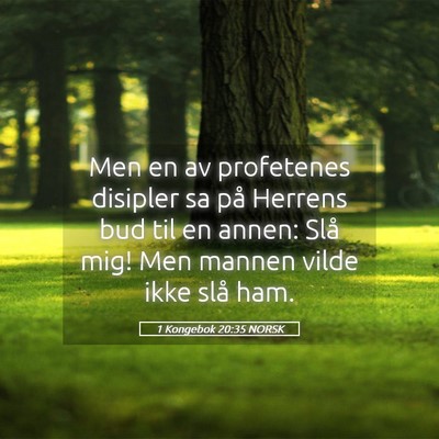 Picture 05 - 1 Kongebok 20:35 NORSK - Men en av profetenes disipler sa på Herrens bud - Bible Verse Picture