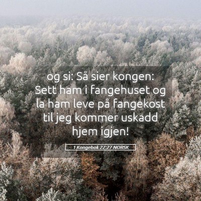 Picture 05 - 1 Kongebok 22:27 NORSK - og si: Så sier kongen: Sett ham i fangehuset og - Bible Verse Picture