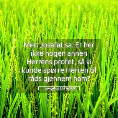 Picture 05 - 1 Kongebok 22:7 NORSK - Men Josafat sa: Er her ikke nogen annen Herrens - Bible Verse Picture