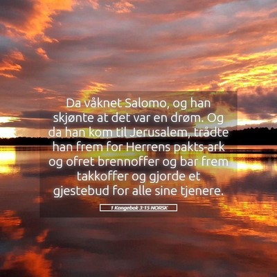 Picture 05 - 1 Kongebok 3:15 NORSK - Da våknet Salomo, og han skjønte at det var en - Bible Verse Picture