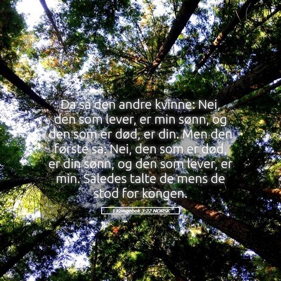 Picture 05 - 1 Kongebok 3:22 NORSK - Da sa den andre kvinne: Nei, den som lever, er - Bible Verse Picture