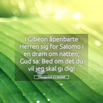 Picture 05 - 1 Kongebok 3:5 NORSK - I Gibeon åpenbarte Herren sig for Salomo i en - Bible Verse Picture