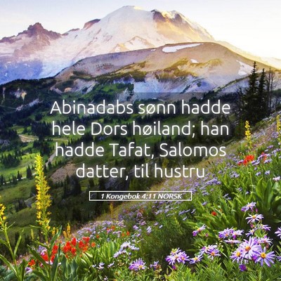 Picture 05 - 1 Kongebok 4:11 NORSK - Abinadabs sønn hadde hele Dors høiland; han - Bible Verse Picture