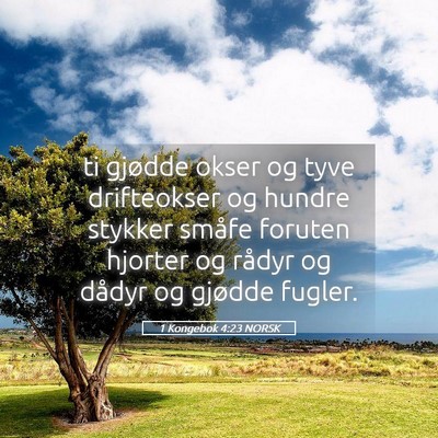 Picture 05 - 1 Kongebok 4:23 NORSK - ti gjødde okser og tyve drifteokser og hundre - Bible Verse Picture