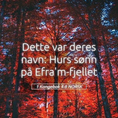 Picture 05 - 1 Kongebok 4:8 NORSK - Dette var deres navn: Hurs sønn på - Bible Verse Picture