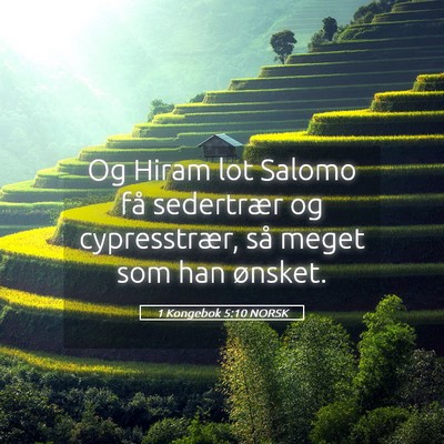Picture 05 - 1 Kongebok 5:10 NORSK - Og Hiram lot Salomo få sedertrær og - Bible Verse Picture