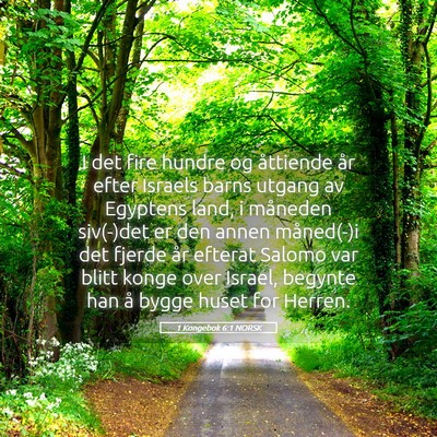 Picture 05 - 1 Kongebok 6:1 NORSK - I det fire hundre og åttiende år efter Israels - Bible Verse Picture