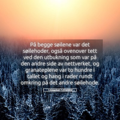 Picture 05 - 1 Kongebok 7:20 NORSK - På begge søilene var det søilehoder, også - Bible Verse Picture