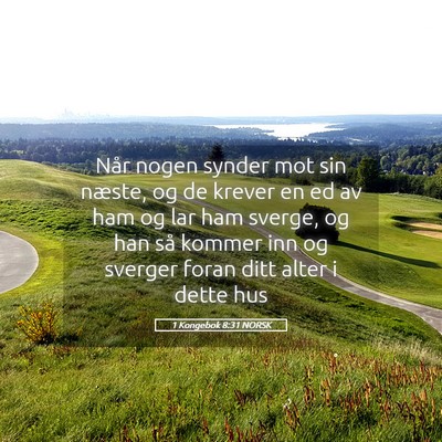 Picture 05 - 1 Kongebok 8:31 NORSK - Når nogen synder mot sin næste, og de krever en - Bible Verse Picture