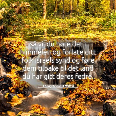 Picture 05 - 1 Kongebok 8:34 NORSK - så vil du høre det i himmelen og forlate ditt - Bible Verse Picture