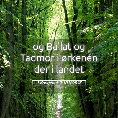 Picture 05 - 1 Kongebok 9:18 NORSK - og Ba'lat og Tadmor i ørkenen der i - Bible Verse Picture