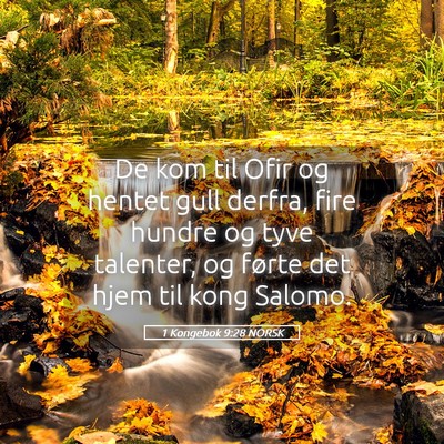 Picture 05 - 1 Kongebok 9:28 NORSK - De kom til Ofir og hentet gull derfra, fire - Bible Verse Picture