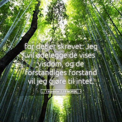 Picture 05 - 1 Korinter 1:19 NORSK - for det er skrevet: Jeg vil ødelegge de vises - Bible Verse Picture