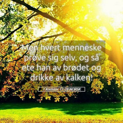 Picture 05 - 1 Korinter 11:28 NORSK - Men hvert menneske prøve sig selv, og så ete - Bible Verse Picture
