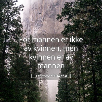 Picture 05 - 1 Korinter 11:8 NORSK - For mannen er ikke av kvinnen, men kvinnen er av - Bible Verse Picture