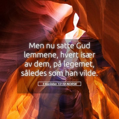 Picture 05 - 1 Korinter 12:18 NORSK - Men nu satte Gud lemmene, hvert især av dem, på - Bible Verse Picture