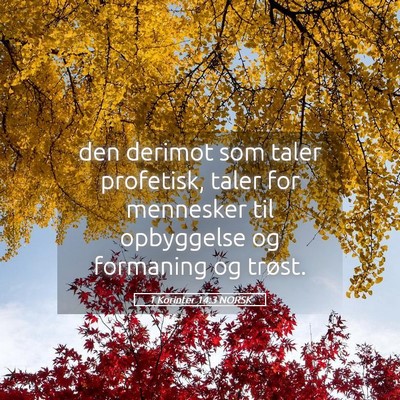 Picture 05 - 1 Korinter 14:3 NORSK - den derimot som taler profetisk, taler for - Bible Verse Picture