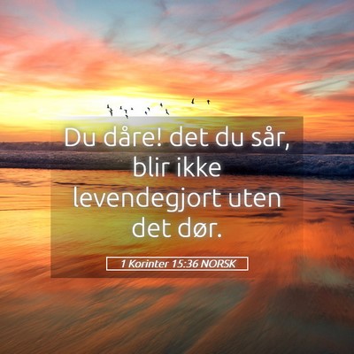 Picture 05 - 1 Korinter 15:36 NORSK - Du dåre! det du sår, blir ikke levendegjort - Bible Verse Picture