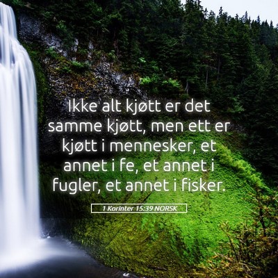 Picture 05 - 1 Korinter 15:39 NORSK - Ikke alt kjøtt er det samme kjøtt, men ett er - Bible Verse Picture