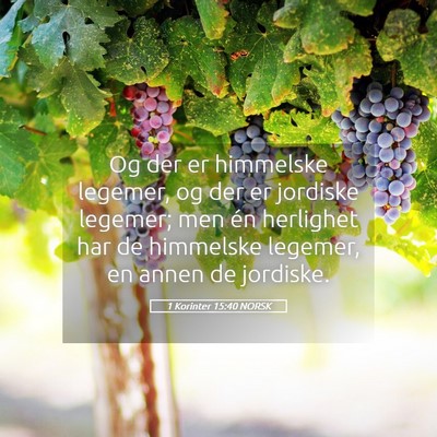 Picture 05 - 1 Korinter 15:40 NORSK - Og der er himmelske legemer, og der er jordiske - Bible Verse Picture