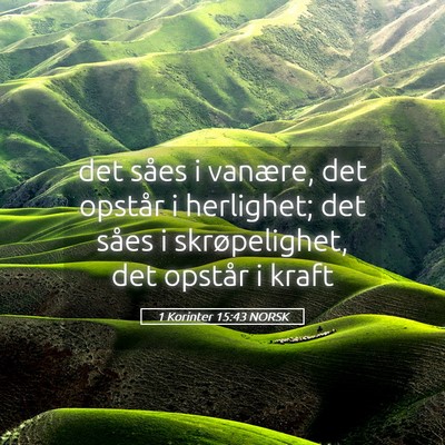 Picture 05 - 1 Korinter 15:43 NORSK - det såes i vanære, det opstår i herlighet; det - Bible Verse Picture
