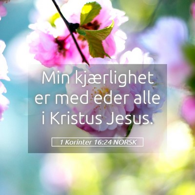 Picture 05 - 1 Korinter 16:24 NORSK - Min kjærlighet er med eder alle i Kristus - Bible Verse Picture