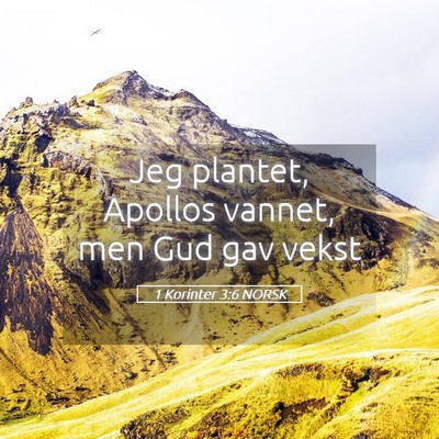 Picture 05 - 1 Korinter 3:6 NORSK - Jeg plantet, Apollos vannet, men Gud gav - Bible Verse Picture