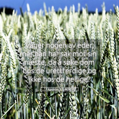 Picture 05 - 1 Korinter 6:1 NORSK - Våger nogen av eder, når han har sak mot sin - Bible Verse Picture