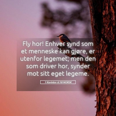 Picture 05 - 1 Korinter 6:18 NORSK - Fly hor! Enhver synd som et menneske kan gjøre, - Bible Verse Picture