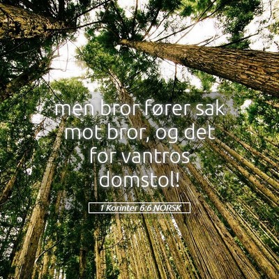 Picture 05 - 1 Korinter 6:6 NORSK - men bror fører sak mot bror, og det for vantros - Bible Verse Picture